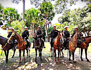 Tropa de quatro patas amplia a eficácia das ações da Polícia Militar no G20