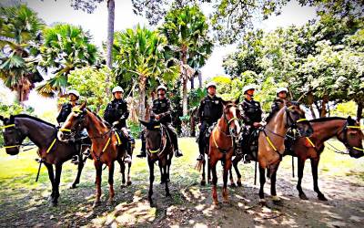 Tropa de quatro patas amplia a eficácia das ações da Polícia Militar no G20